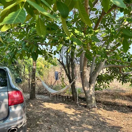 My Ancient Pydna Paradise ! Holiday home