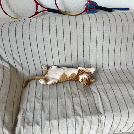 My Ancient Pydna Paradise ! Holiday home